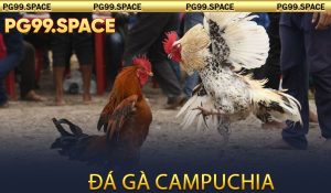Đá Gà Campuchia